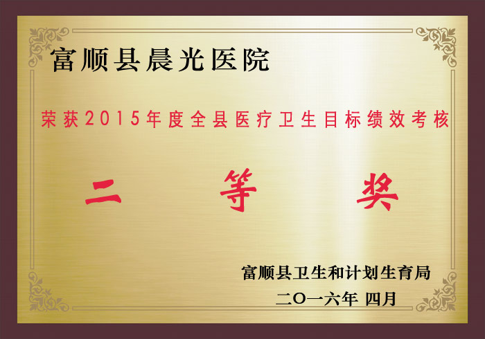 医疗卫生目标绩效考核二等奖