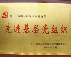 先进基层党组织