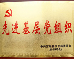 2015先进基层党组织