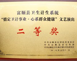 文艺演出二等奖